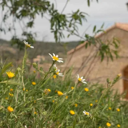 Espacioso Pajar Con Chimenea Y Bbq En El Matarrana