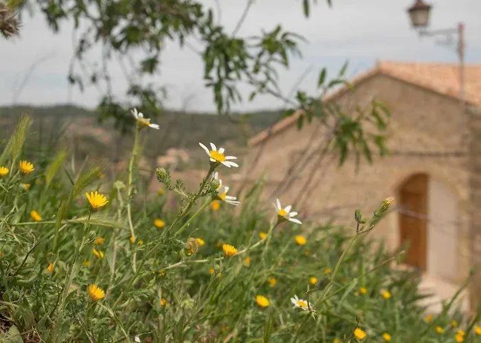 Espacioso Pajar Con Chimenea Y Bbq En El Matarrana